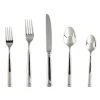 Fortessa Bistro 5-Piece Flatware Place Setting 1 Fortessa Bistro 5-Piece Flatware Place Setting -Cuisinart Shop 5pps cat bistro