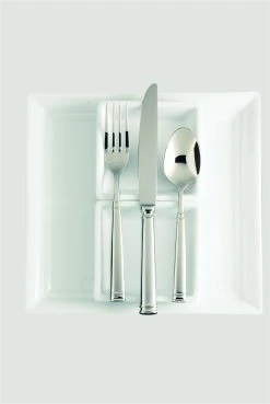 Fortessa Bistro 20-Piece Flatware Set -Cuisinart Shop bistro2 on white