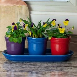 Fiesta® Windowsill Garden Set | Bold -Cuisinart Shop boldlife