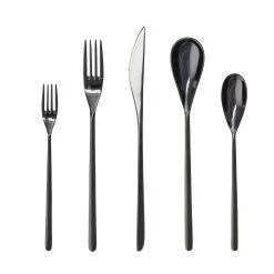 Fortessa Dragonfly 5pc Place Setting | Black