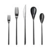 Fortessa Dragonfly 20pc Place Setting | Black 1 Fortessa Dragonfly 20pc Place Setting | Black -Cuisinart Shop r6bvw4t6hq35yvcpx3g8 1