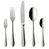 Villeroy & Boch Oscar 20 Piece Flatware Set
